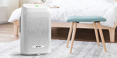 How To Choose My Dehumidifier Settings