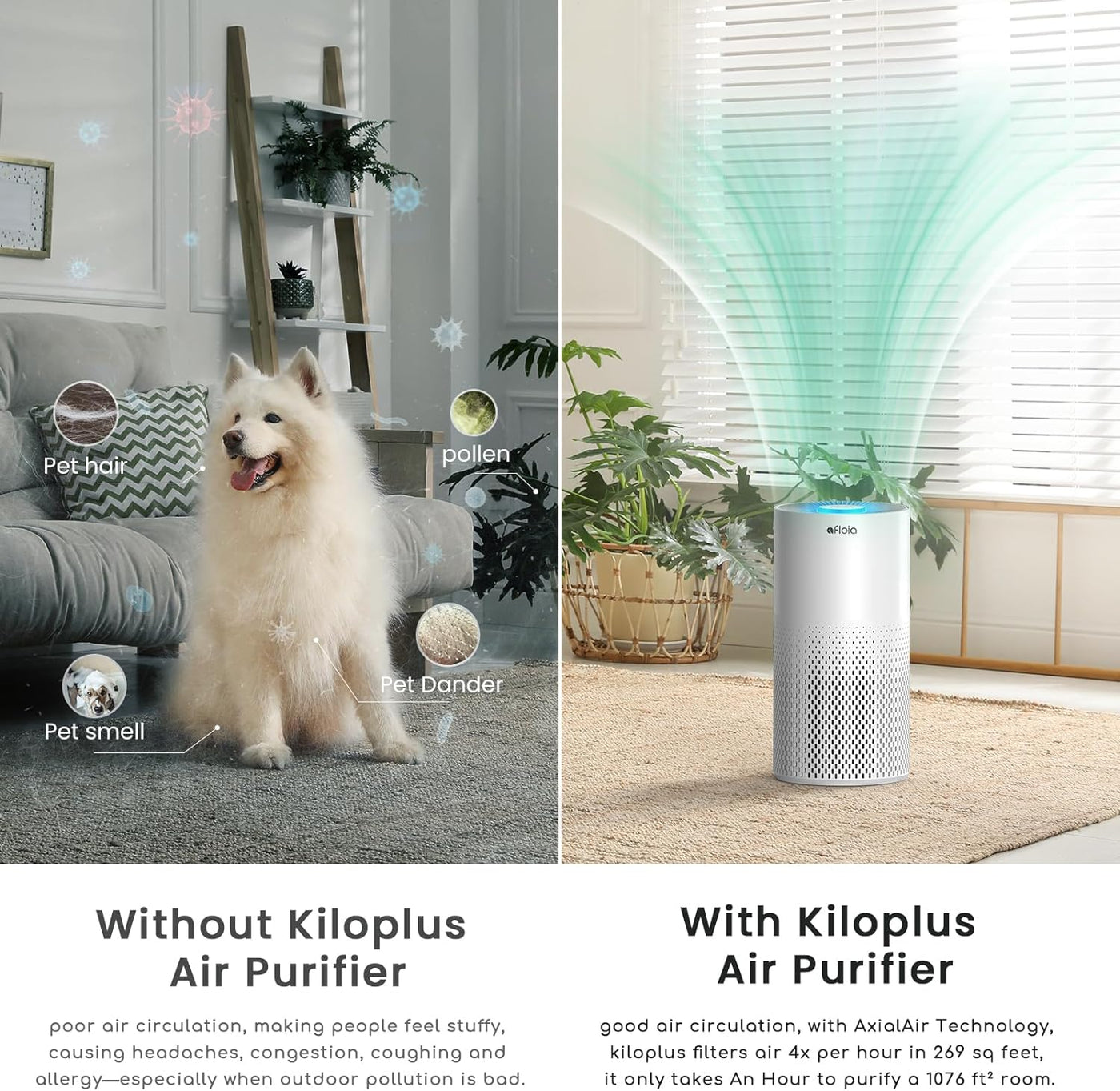 Afloia Kilo Plus Air Purifier